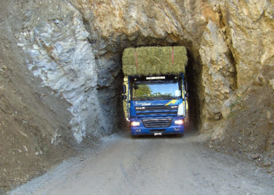 LKW beladen durch einen Tunnel